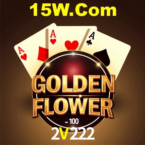 Casino VIP 2V222